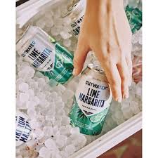 Cutwater Strawberry Margarita 4 Pack Can